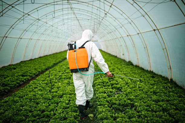 Best Commercial Pest Control Services  in Navy Yard City, WA