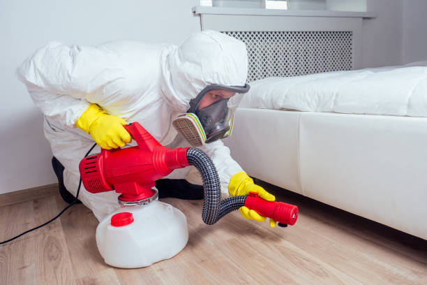 Best Cockroach Control Services  in Navy Yard City, WA